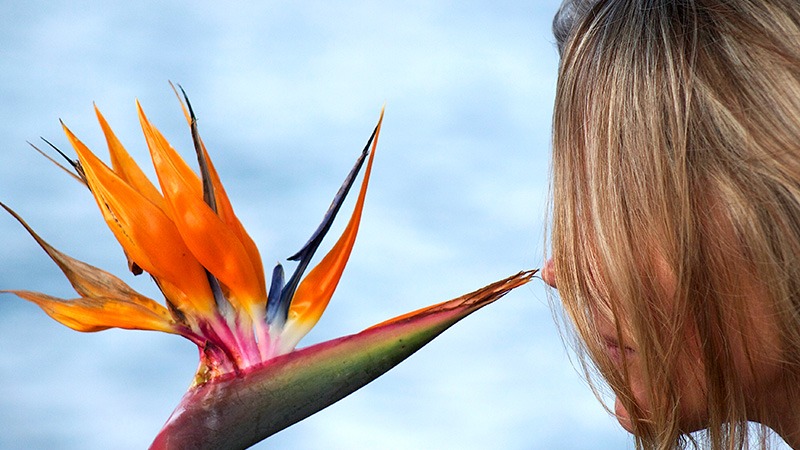 energy medicine healing