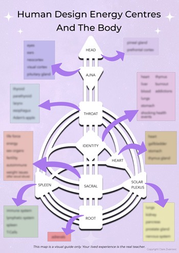 Human Design Energy Centres Map